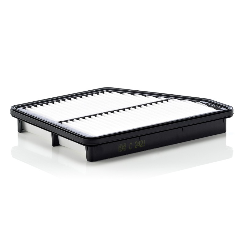 Filtre à Air Pour Hyundai Matrix 28113-17500