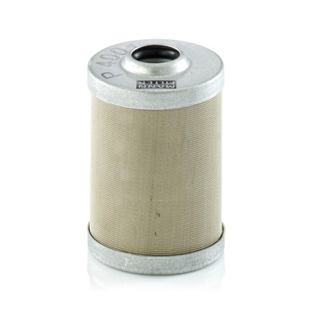 Filtre à Carburant Pour LANDINI MISTRAL