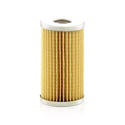 Filtre à Carburant Pour CASE IH LANDINI Series 1 NEW HOLLAND 3653390M1