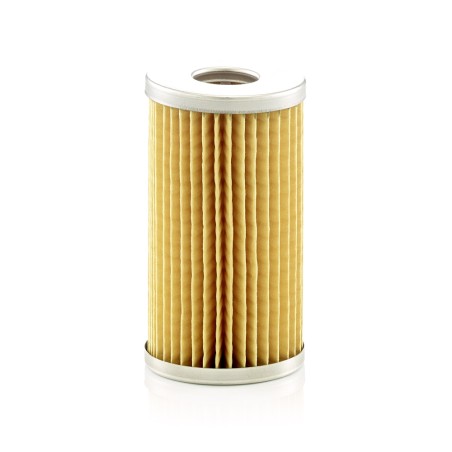 Filtre à Carburant Pour CASE IH LANDINI Series 1 NEW HOLLAND 3653390M1