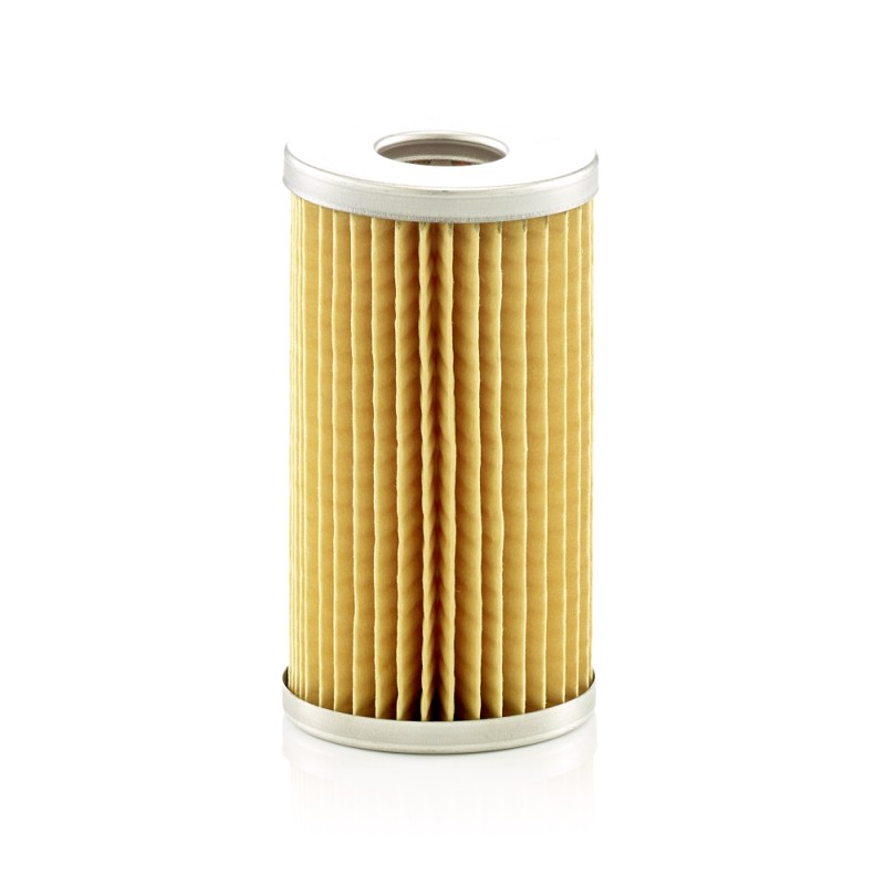 Filtre à Carburant Pour CASE IH LANDINI Series 1 NEW HOLLAND 3653390M1