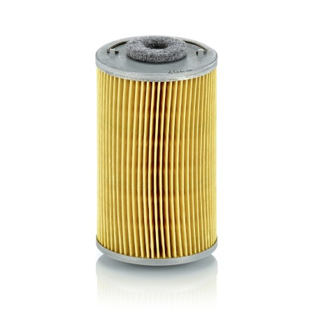 Filtre à Carburant Pour Peugeot BAUTZ FENDT FORD-TRUCK 190604 F015200060180