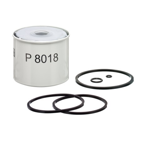 Filtre à Carburant Pour HATTAT KIOTI LANDINI REX MCCORMICK 26550005 6676271A1