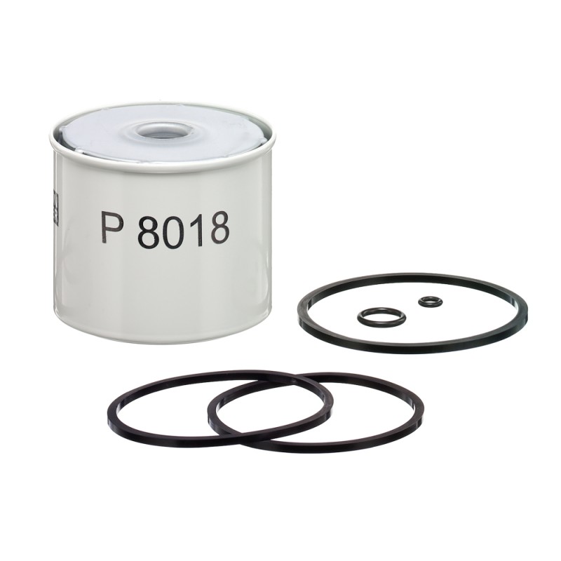 Filtre à Carburant Pour HATTAT KIOTI LANDINI REX MCCORMICK 26550005 6676271A1