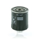 Filtre à Carburant Pour KIOTI Series DK LANDINI ALPINE MISTRAL