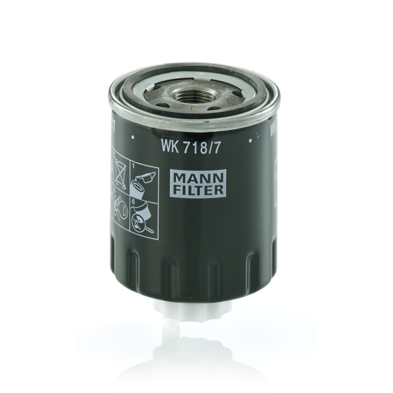 Filtre à Carburant Pour KIOTI Series DK LANDINI ALPINE MISTRAL