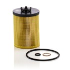 Filtre à Huile Pour BMW Morgan Rolls-Royce Wiesmann 11427521008 11427542021