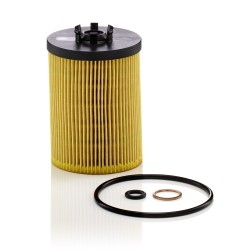 Filtre à Huile Pour BMW Morgan Rolls-Royce Wiesmann 11427521008 11427542021