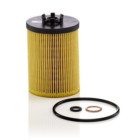 Filtre à Huile Pour BMW Morgan Rolls-Royce Wiesmann 11427521008 11427542021