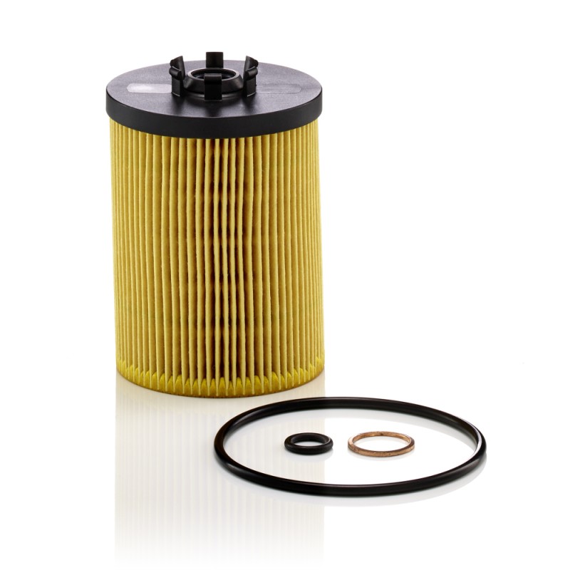 Filtre à Huile Pour BMW Morgan Rolls-Royce Wiesmann 11427521008 11427542021