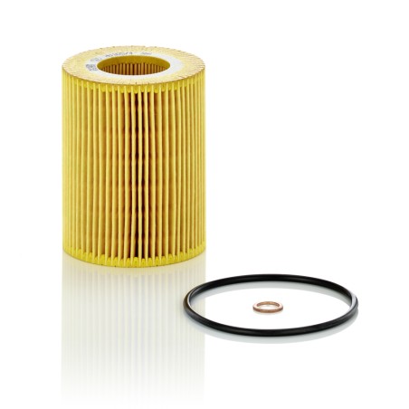 Filtre à Huile Pour BMW Série 3 E36 E46 5 E39 E60 Z3 Z4 Wiesmann MF3 Roadster