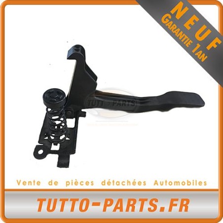 Serrure de porte pour RENAULT Megane III