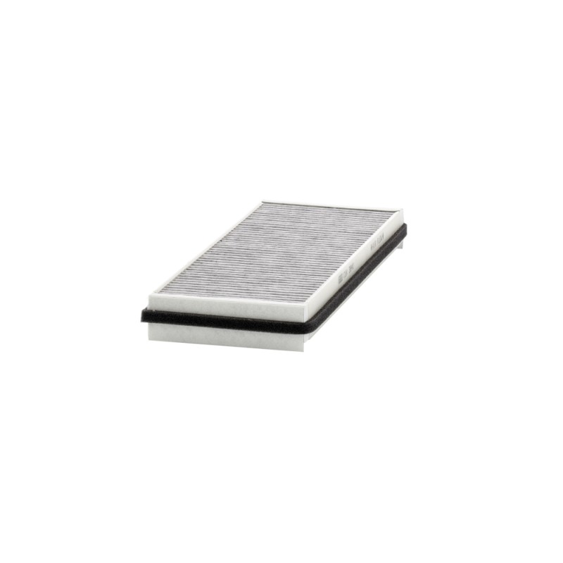 Filtre Habitacle Pour Renault Espace IV 7701056390 8200037999