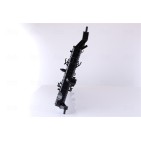 Radiateur Refroidissement Moteur Pour Opel Meriva A Vauxhall Meriva MK I (A)