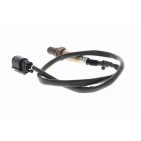 Sonde Lambda Pour Ford Fiesta VI 1773164 1871326 C1BA-9G444-CA C1BA9G444CA
