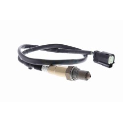 Sonde Lambda Pour Ford Fiesta VI 1773164 1871326 C1BA-9G444-CA C1BA9G444CA