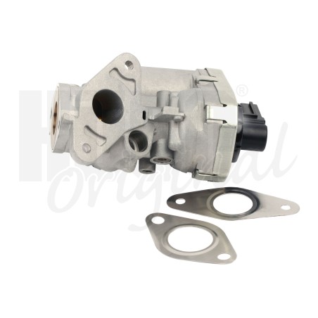 Vanne EGR Pour Peugeot Fiat Ford Transit Citroën 1618HQ 71789685 1787017 1618R5