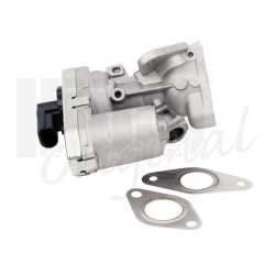 Vanne EGR Pour Peugeot Fiat Ford Transit Citroën 1618HQ 71789685 1787017 1618R5