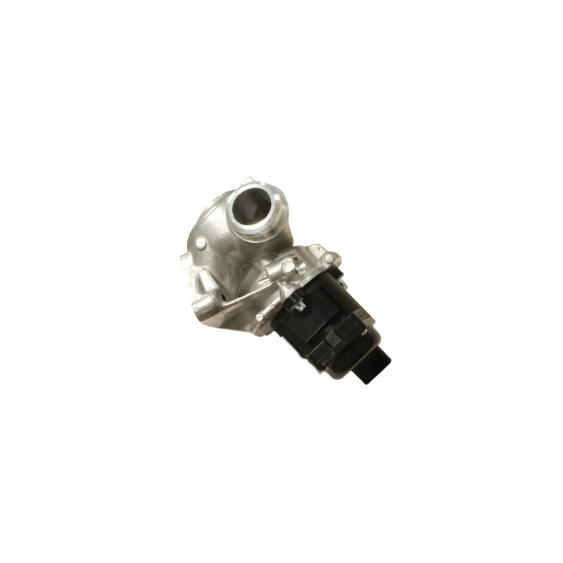 Vanne EGR Pour Peugeot Ford C-Max Citroën 161859 1338675 1618NR 1439414 1479057