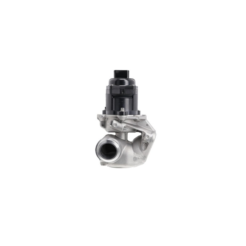 Vanne EGR Pour Peugeot Fiat Ford Suzuki 1618-59 9660276280 1338675 18520-69K01