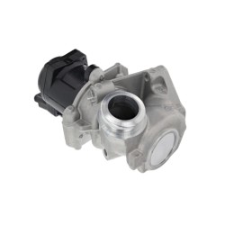 Vanne EGR Pour Peugeot Fiat Ford Suzuki 1618-59 9660276280 1338675 18520-69K01