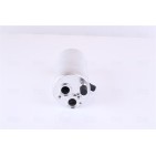 Filtre Deshydratant Clim Pour Ford Transit 3C1H19E647AA 4042676 4053339 4510765