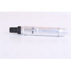 Filtre Deshydratant Clim Pour Mini Mini 64506917489 6917489