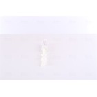 Filtre Deshydratant Clim Pour MERCEDES Classe C T-Model CLK SLK