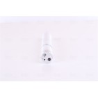 Filtre Deshydratant Clim Pour Land Rover Discovery III Van IV Range Rover Sport