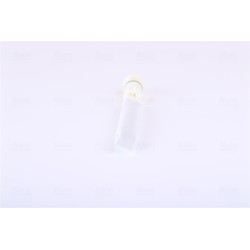 Filtre Deshydratant Clim Pour Peugeot Opel Citroën C2 C3 II III DS 9827808180