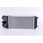 Intercooler Echangeur Radiateur Pour Peugeot 207 Citroën DS 1440.P8 9803145480