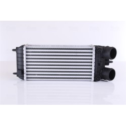 Intercooler Echangeur Radiateur Pour Peugeot 207 Citroën DS 1440.P8 9803145480