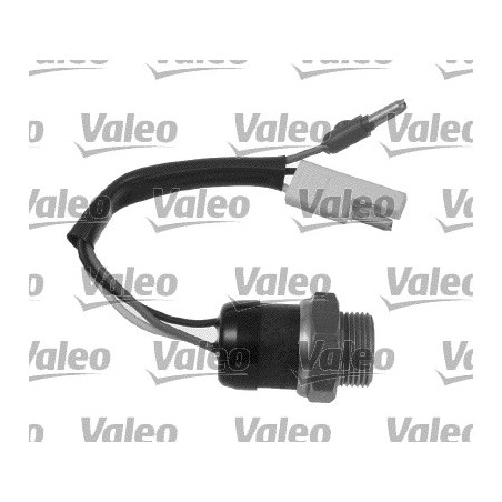 Thermocontact Ventilateur Radiateur Pour Peugeot Fiat Citroën 1264-10 5934064