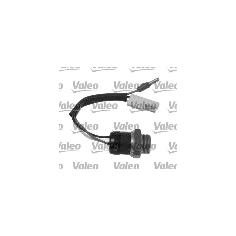 Thermocontact Ventilateur Radiateur Pour Peugeot Fiat Citroën 1264-10 5934064