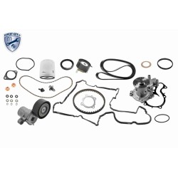 Kit De Distribution Pour Ford B-Max C-Max II Ecosport Fiesta VI VII 031132