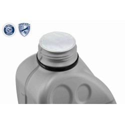 Kit Courroie De Distribution + Pompe à Eau Pour Ford B-Max C-Max II 0892202003