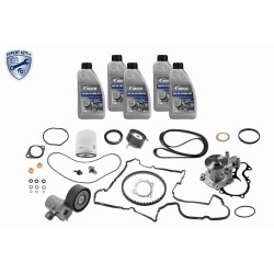 Kit Courroie De Distribution + Pompe à Eau Pour Ford B-Max C-Max II 0892202003