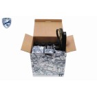 Kit Distribution Avec Pompe À Eau Pour Ford B-Max C-Max II Ecosport 1844732