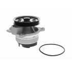 Pompe À Eau Moteur Pour Ford Galaxy S-Max Tourneo Transit Ford USA Edge