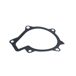 Pompe À Eau Moteur Pour Hyundai IV/SUV Staria Tucson Kia Carnival III
