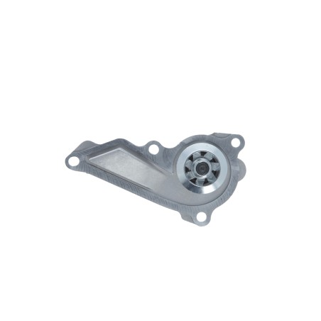 Pompe À Eau Moteur Pour Renault Dacia Nissan 210100638R 21010-00Q4A 210104221R