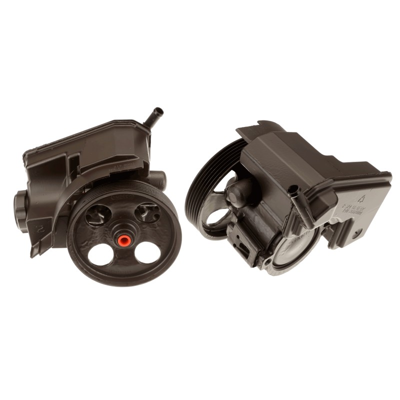 Pompe De Direction Assistée Pour Peugeot 206 206+ 40076E 4007AQ 4007LK 4007LQ