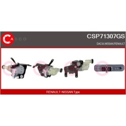 Pompe De Direction Assistée Pour Dacia Duster 491100992R 491102845R 491107326R