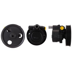 Pompe De Direction Assistée Pour Renault I Megane Scénic Thalia Dacia Duster