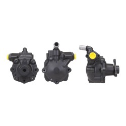 Pompe De Direction Assistée Pour Renault Opel Nissan Vauxhall 491100915R