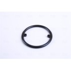 Radiateur Refroidisseur D'Huile Pour VW Bora Audi Seat Ford 028117021B 1691384