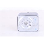 Radiateur Refroidisseur D'Huile Pour VW Audi Seat Ford 038117021A 038117021B