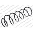 Ressort de Suspension Avant Pour Peugeot 406 5002H9 5002R9 5002V4