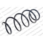 Ressort de Suspension Avant Pour Suzuki Swift V 41111-53R00