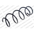 Ressort de Suspension Avant Pour Suzuki Swift V 41111-53RA0